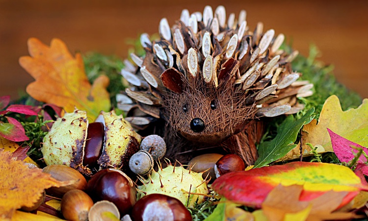 Slider_big_still-life-hedgehog-decoration-herbstdeko