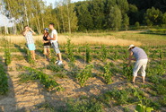 Thumb_dscf7317