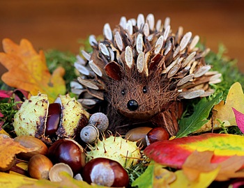 Thumb_still-life-hedgehog-decoration-herbstdeko